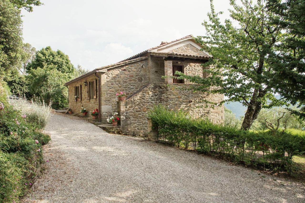 Casa Rancacci Guest House Mercatale  Exterior foto